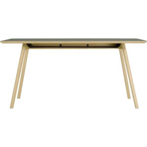 Tyrus 800 X 1600 Working Desk