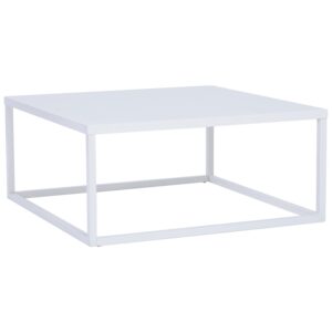 Daichi Steel Coffee Table