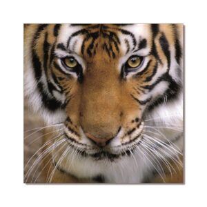 Tiger Printed Picture