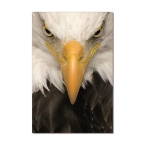 Eagle Printed Picture