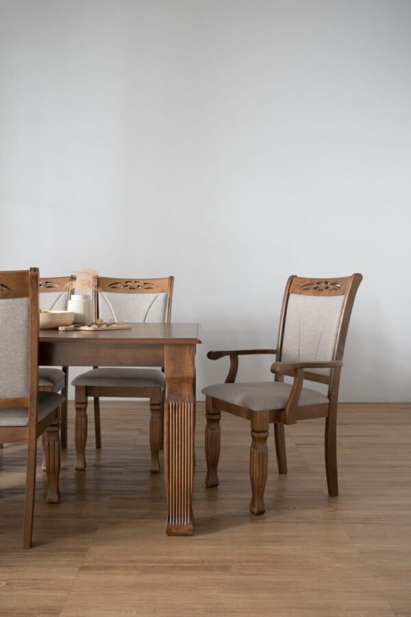 241377_s1 Tegus Arm Chair