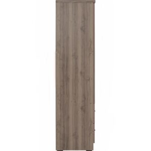 Dublin 2 Door Wardrobe Dark Oak