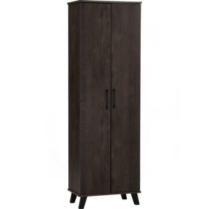 Everett 2 Door Shoe Cabinet (W60 x D36 x H186cm)