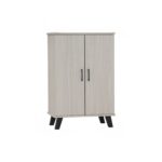 Everett 2 Door Shoe Cabinet (W60 x D38 x H86cm)