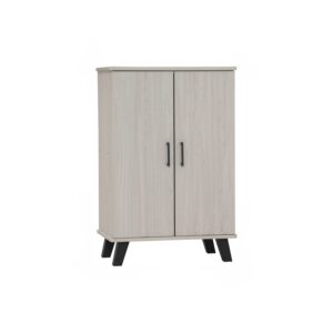 Everett 2 Door Shoe Cabinet (W60 x D38 x H86cm)