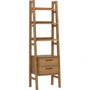 Toronto Open Bookcase