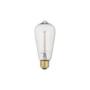 Pear Shape Light Bulb