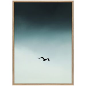 Small Seagul Blue Printed Art In Frame