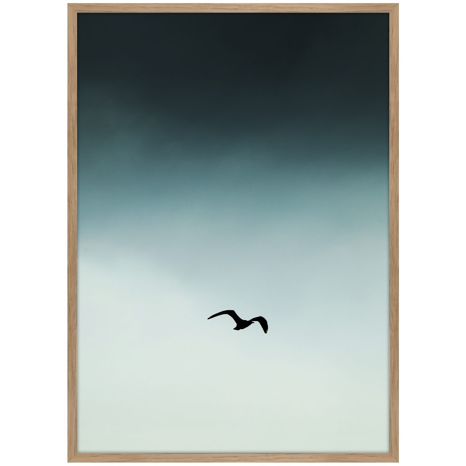 A202022 Small Seagul Blue Printed Art In Frame
