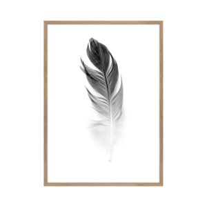 Small Soft Feather Printed Art In Oak Frame